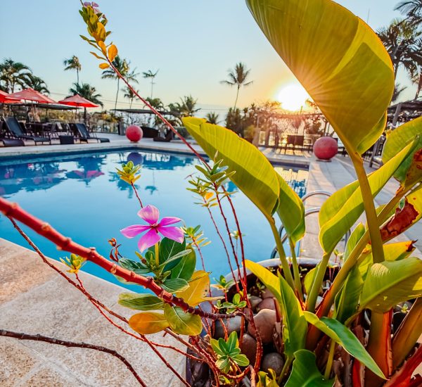 Hotel Itapemar 136